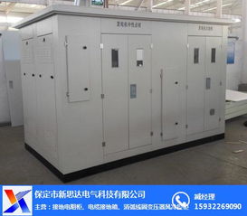 中性點接地電阻柜 中性點接地電阻柜生產(chǎn)廠家 新思達
